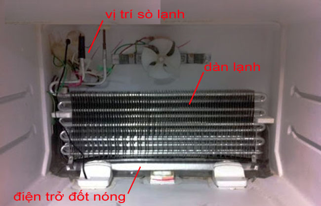 Cách kiểm tra sò lạnh sống chết